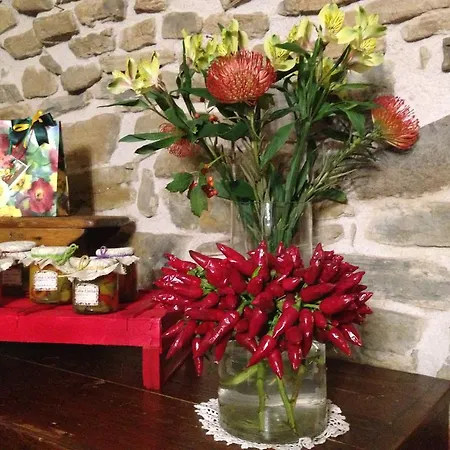 Agriturismo Casa Clelia